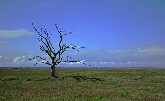 Business Legacy is a Lie. Only People Matter